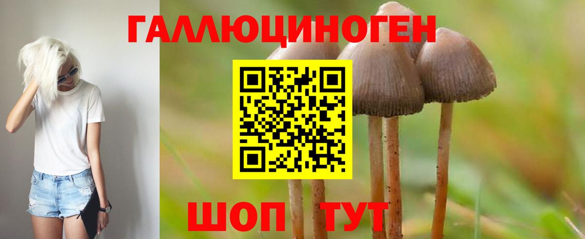 Галлюциногенные грибы GOLDEN TEACHER  Вход с VPN  Псилоцибиновые грибы мицелий  Ставрополь 